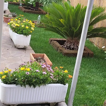 Vakantiehuis Da Gigi Vallecchia